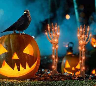 Halloween-Props-&-Decor