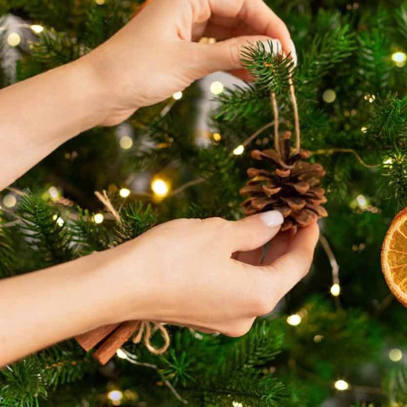 Seasonal closeout truckloads